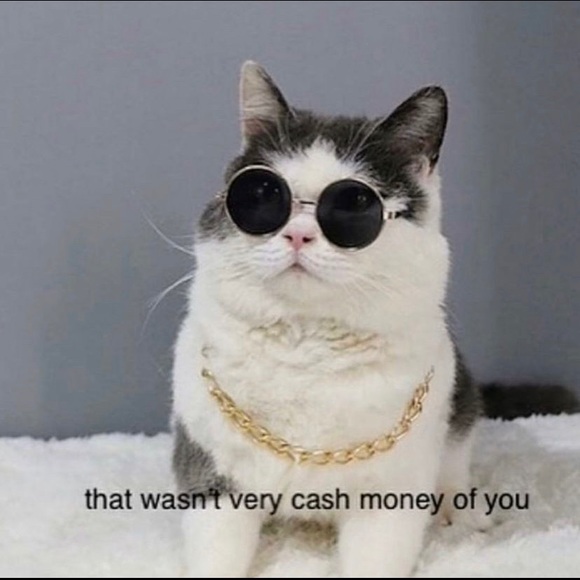 Meet your Posher, Diana - Picture 1 of 1